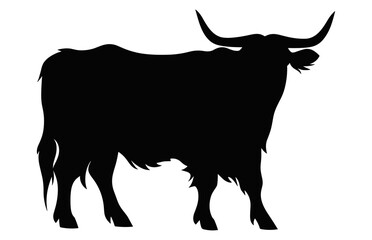 Highland Cattle Vector Silhouette isolated on a white background