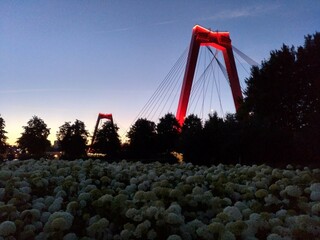 Red Wilhelm bridge in Rotterdam, Netherlands