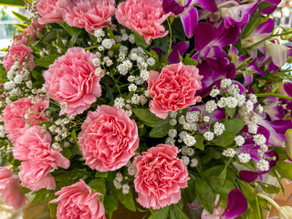 Pink flowers with white flowers in the background