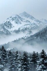 a snowy mountain with trees and fog