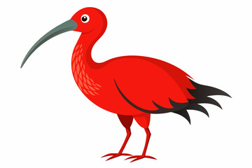 Red-naped ibis vector design.