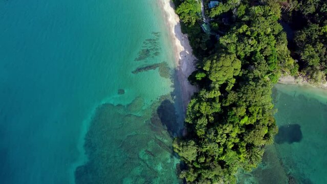 Aerial footage of greenery and clear blue sea in Punta Uva beach on a sunny day in Limon, Costa Rica