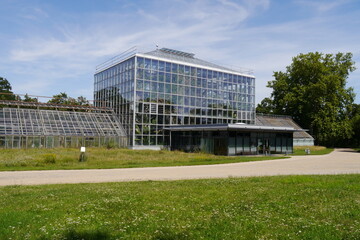 Fototapeta na wymiar Palmenhaus der Gruson-Gewächshäuser in Magdeburg