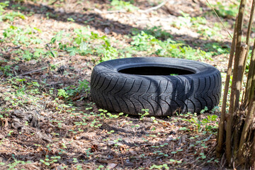 Fototapeta na wymiar Car tires abandoned in the nature reserve.