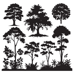 Fototapeta premium Set of plant and tree silhouette