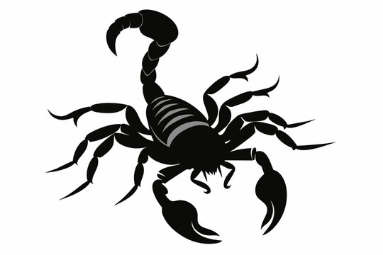 scorpion-black-silhouette-vector-on-white-background.