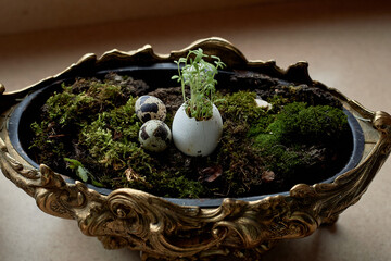 A massive bronze vase on legs with moss, greenery sprouted in an egg. A new life