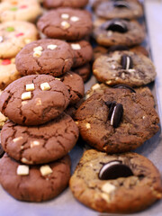 crispy chocolate cookies