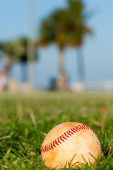 Baseball on Grass Field with Palm Trees in the background