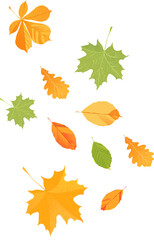 A collection of autumn leaves are falling from the sky. The leaves are of various colors, including orange, yellow, and green. Concept of change and transition, as the leaves fall from the trees