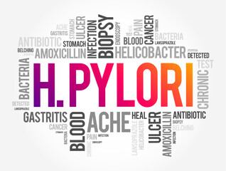 H. pylori - are bacteria that can cause an infection in the lining of your stomach, word cloud concept for presentations and reports