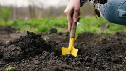 farmer digs ground with shovel, shovel, hands planting green sprout ground, agriculture, seedling,...