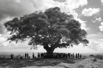 Gordijnen Local community gathering under the shade of a massive Adansonia tree, symbolizing the cultural significance and communal importance of these iconic trees. Black and white. © Oskar Reschke