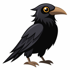 crow-on-white-background