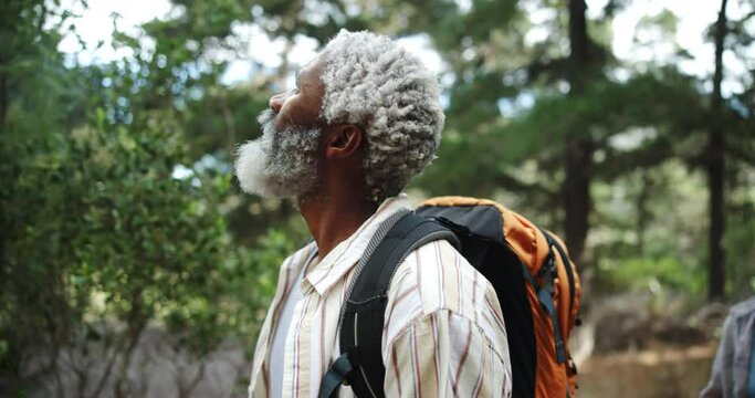 Senior, hiker or black man in nature walking on outdoor adventure for camping on holiday vacation. Survival, explore trail and African traveler in woods with backpack for trekking or hiking in Norway