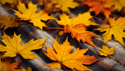 Naklejka na ściany i meble Yellow and orange maple leaves on plaid. Autumn in the park