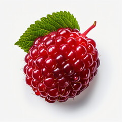 Ripe red raspberries and a plump blackberry rest on a white background