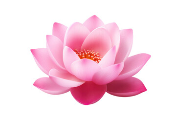 Pink Lotus Blossom in White Serenity. White or PNG Transparent Background.