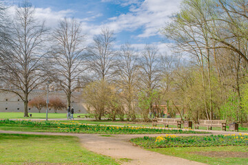 beautiful park in spring, Ingolstadt