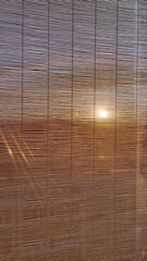 Sunset through the bamboo curtain. Vertical video