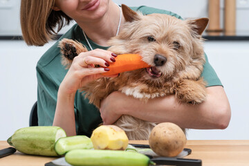 A caring housewife feeds her pet dog with vegetables that she has just chopped. Concept of healthy...