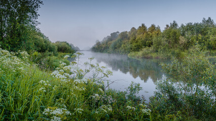Fototapeta na wymiar The river on a summer morning
