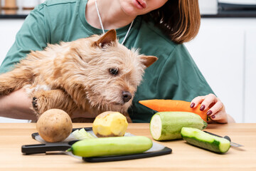 A caring housewife feeds her pet dog with vegetables that she has just chopped. Concept of healthy eating and caring for pets