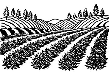 top-view-of-lavender-field-vector-illustration 
