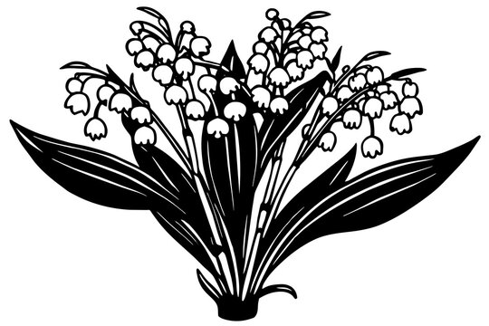 black and white lily of the valley clip art preview