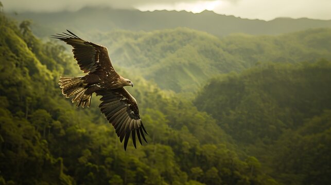 Majestic Philippine Eagle Soaring Over Mountainous Landscape