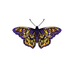 Colored butterfly on isolated white background. Layout for printing illustrations on T-shirts, notepads, covers