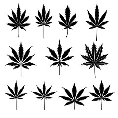 black cannabis collection