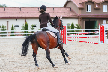 Rider on the course from the back. Horse pass the line to barrier. Equestrian sport. Gallop of a dark tail bay horse