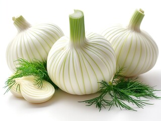fennel and garlic on a white background