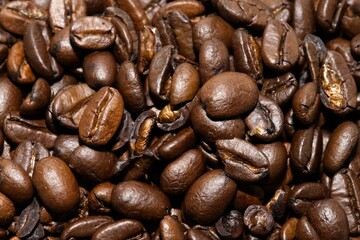 Coffee Beans Close-Up 2