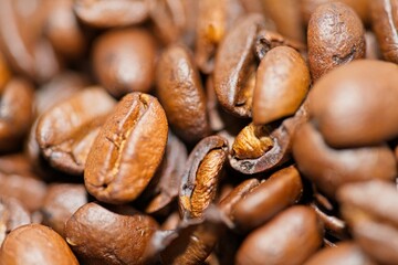 Coffee Beans Close-Up 1