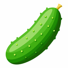 Cucumber Isolated on White Background 