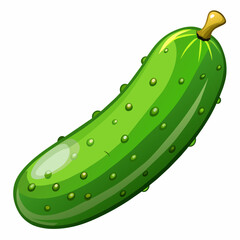 Cucumber Isolated on White Background 