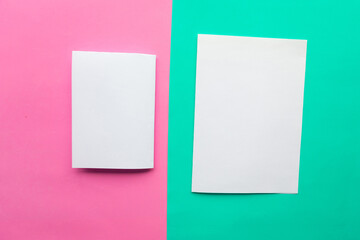 Two white mockup blanks on pink and green pastel background. Copy space for the text. Minimal...