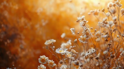 Fototapeta premium Bunch of Flowers in the Grass
