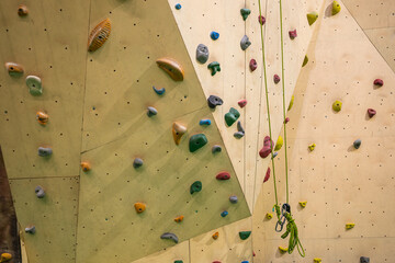 Colorful footholds for training. Climbing gym.
