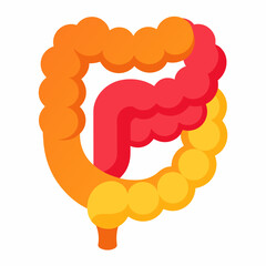 Intestines Isolated on White Background