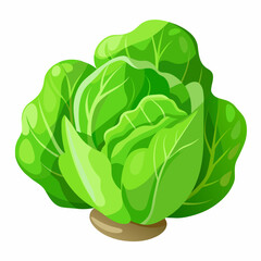 Lettuce Isolated on White Background for Crisp and Clean Imagery