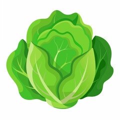 Lettuce Isolated on White Background for Crisp and Clean Imagery