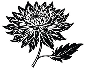 Black Silhouette Chrysanthemum Flower Vector