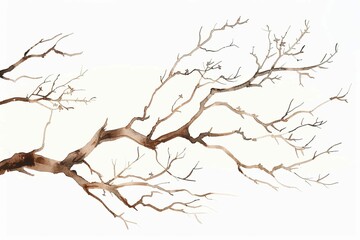 Minimalist watercolor illustration of dry brown tree branch on white background - obrazy, fototapety, plakaty
