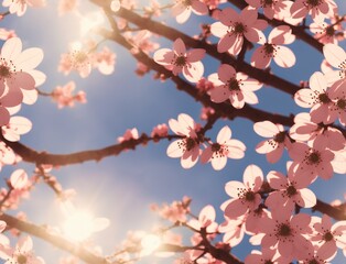 Blossoming Cherry Blossoms on a Sunny Day - seamless and tileable