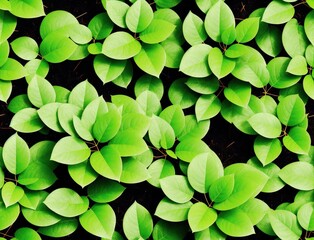 Green Leaves on a Green Background - seamless and tileable - obrazy, fototapety, plakaty