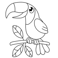 bird