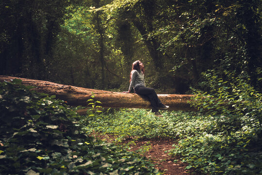 woman sitting on fallen tree in the middle of enchanted and misty forest